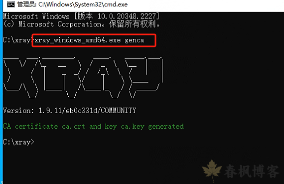 图片[4]-windows安装xray-春枫博客