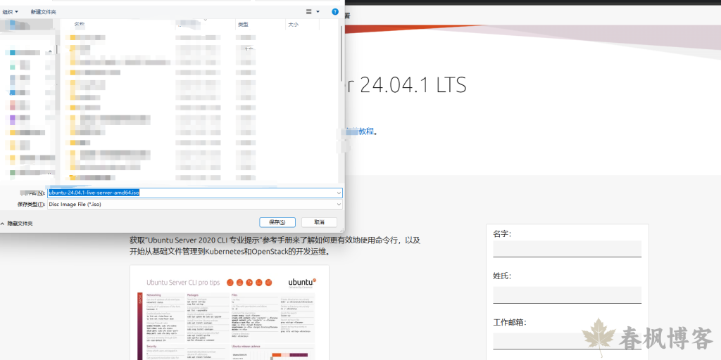 图片[2]-PVE安装 Ubuntu 服务器版-春枫博客