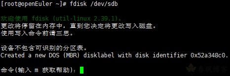 图片[3]-Linux 磁盘分区教程-春枫博客
