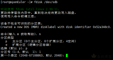 图片[6]-Linux 磁盘分区教程-春枫博客