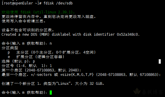 图片[7]-Linux 磁盘分区教程-春枫博客